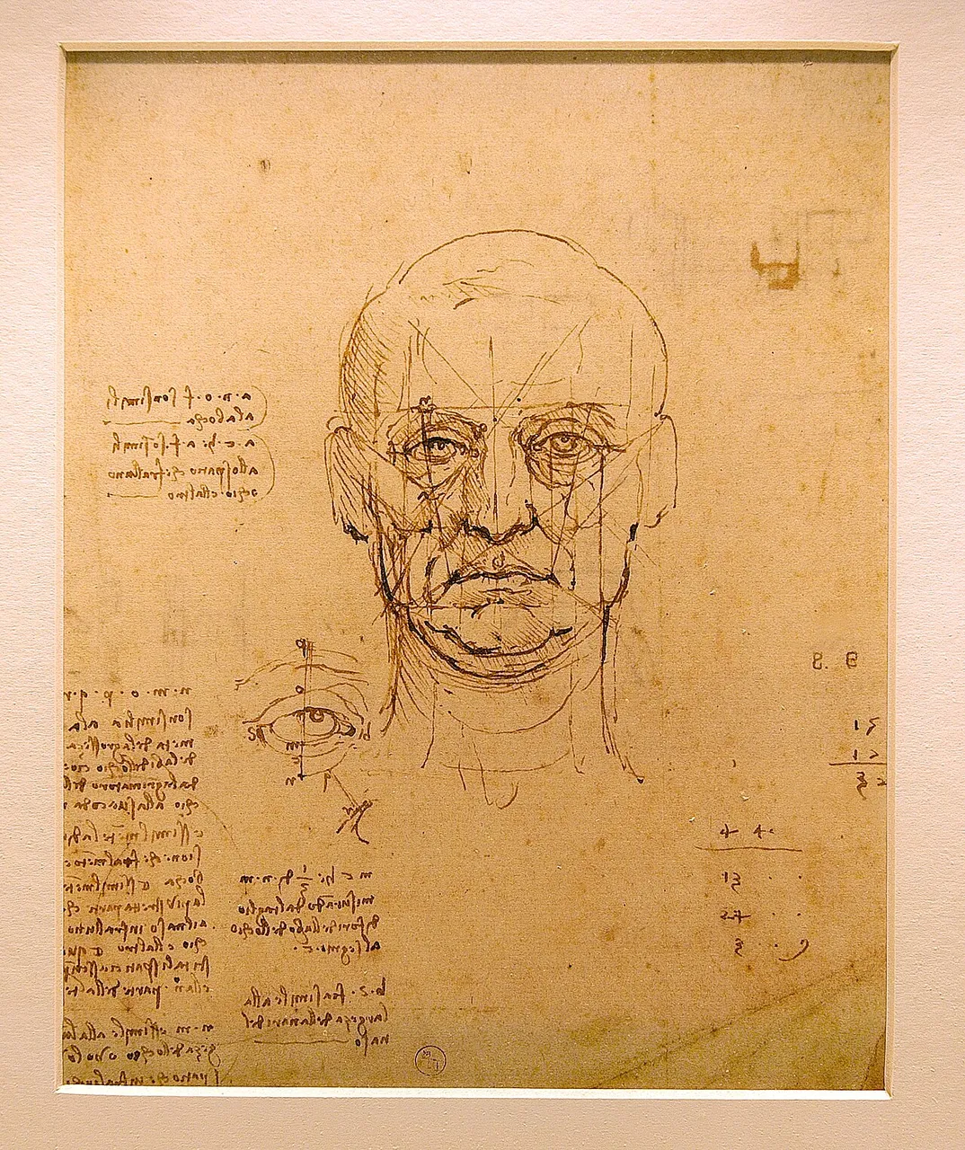 Leonardo da Vinci's study of the proportions of the human face