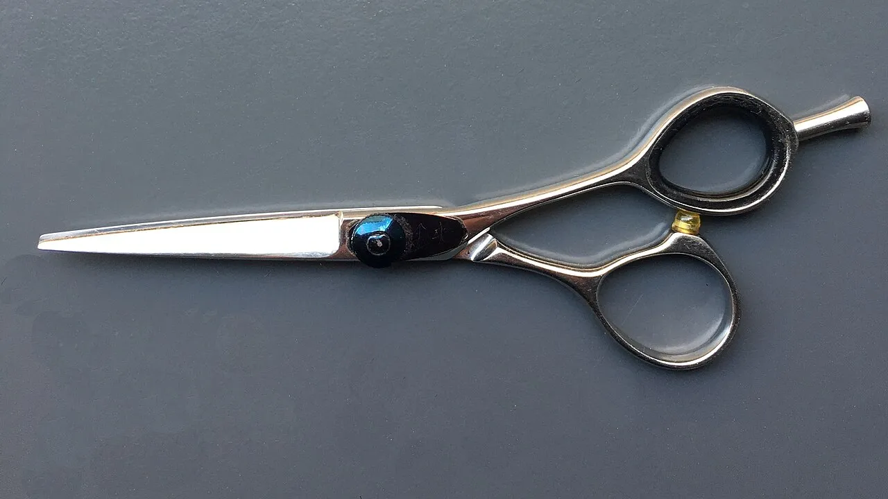 Professional hairdressing scissors