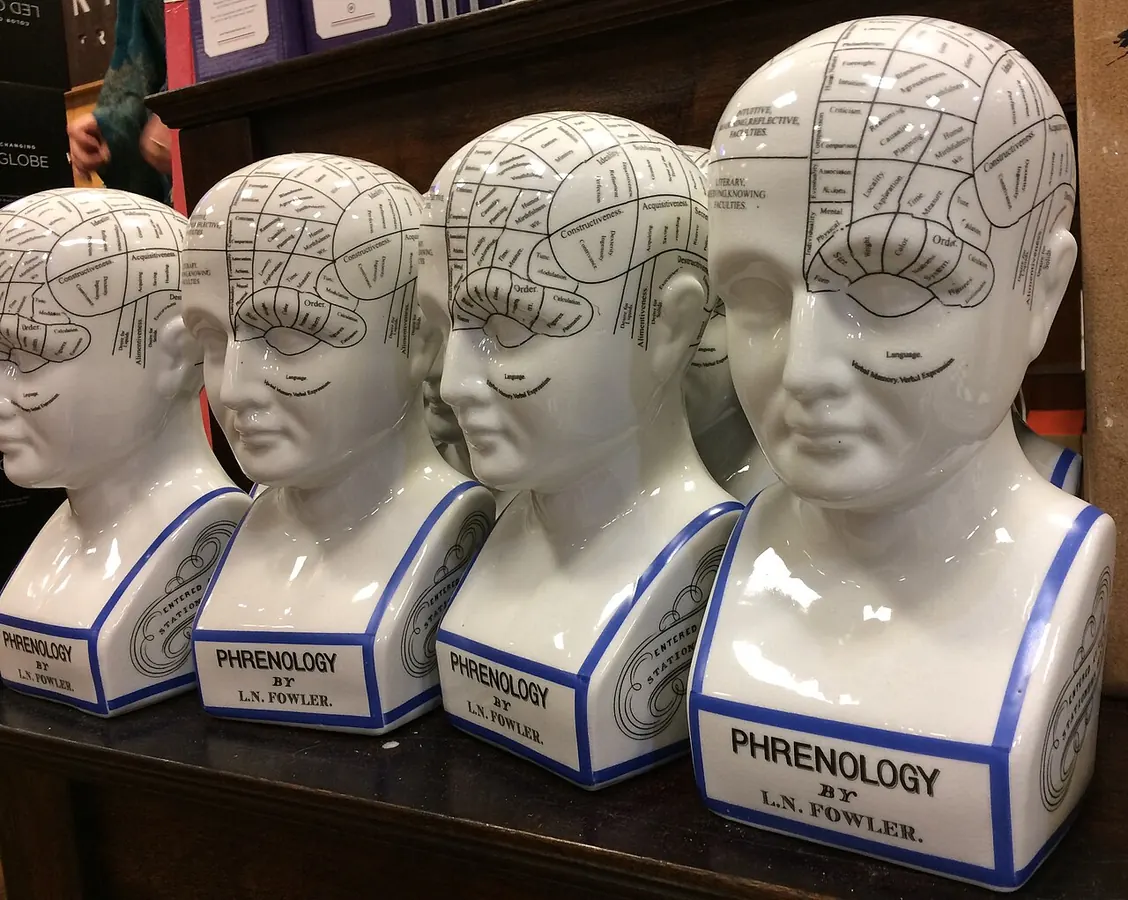 Ceramic phrenology heads mapped with supposed character regions