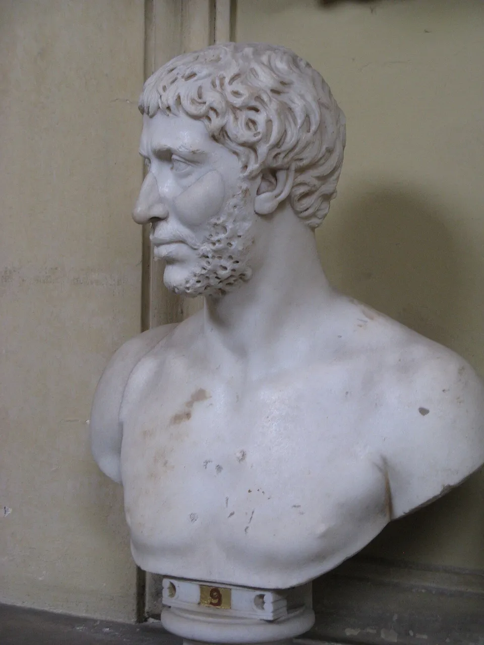 Classical marble bust of a bearded man with short curly hair
