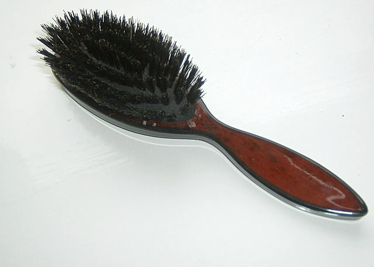 Wooden bristle hairbrush