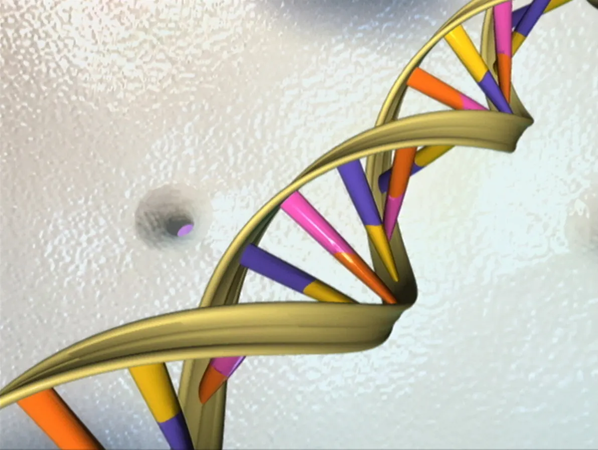 3D illustration of a DNA double helix