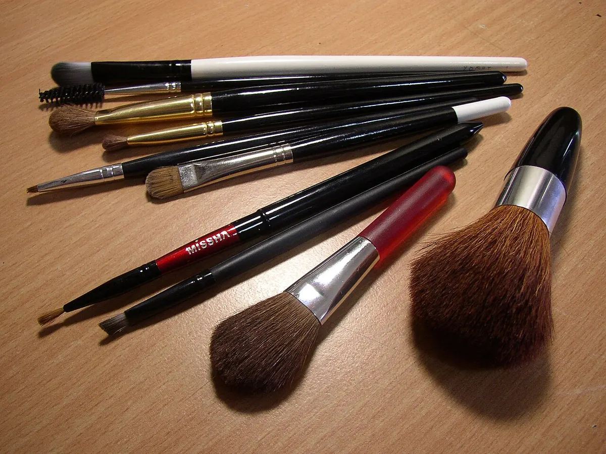 Makeup brushes of different sizes on a table