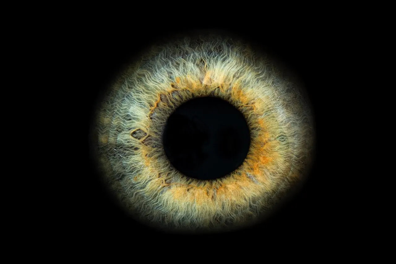 Macro photo of a human iris