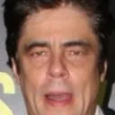 Photo of Benicio del Toro